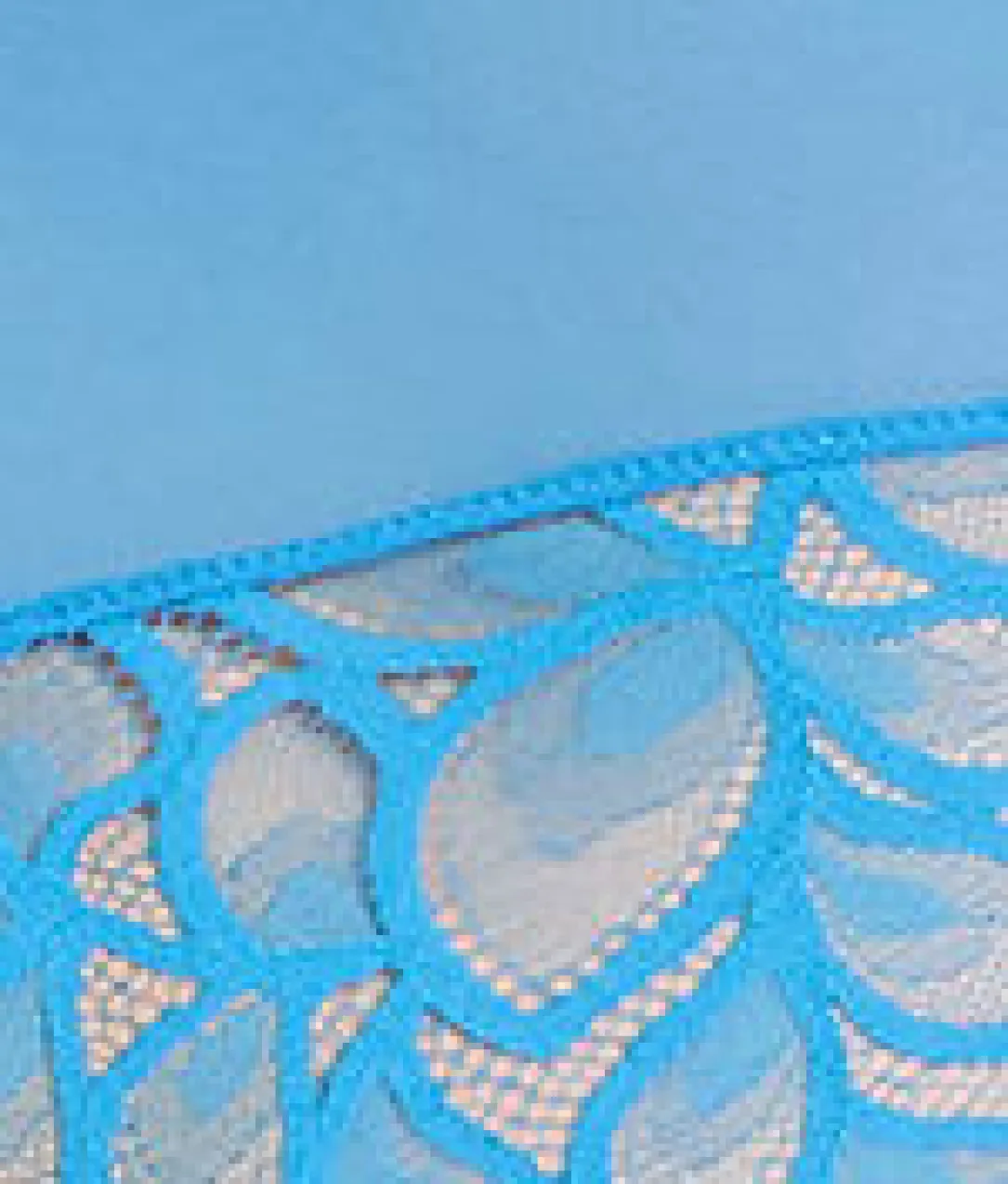 Allure Brief