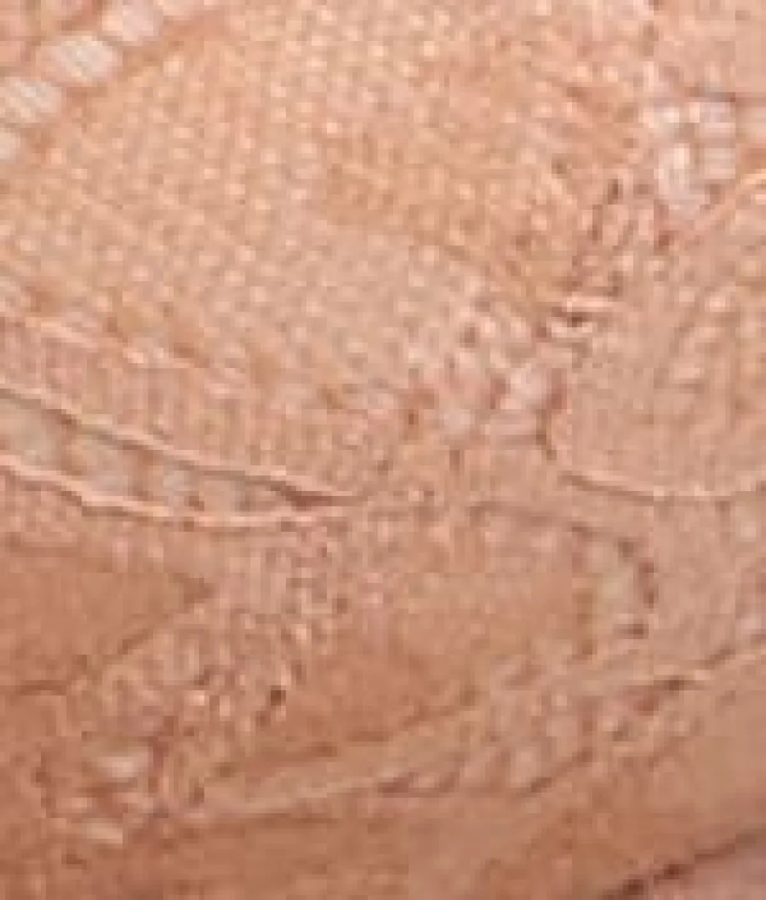 Allure Brief