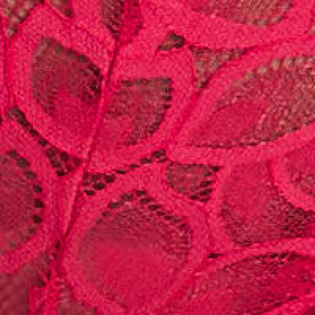 Allure Brief