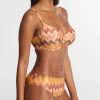 Arizona Wave Plunge Bikini Top