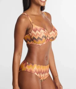 Arizona Wave Plunge Bikini Top