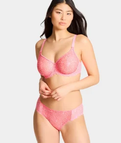 Cassiopee Brief