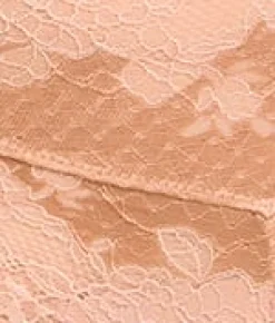 Clara Lace High-Waist Cheeky Brief