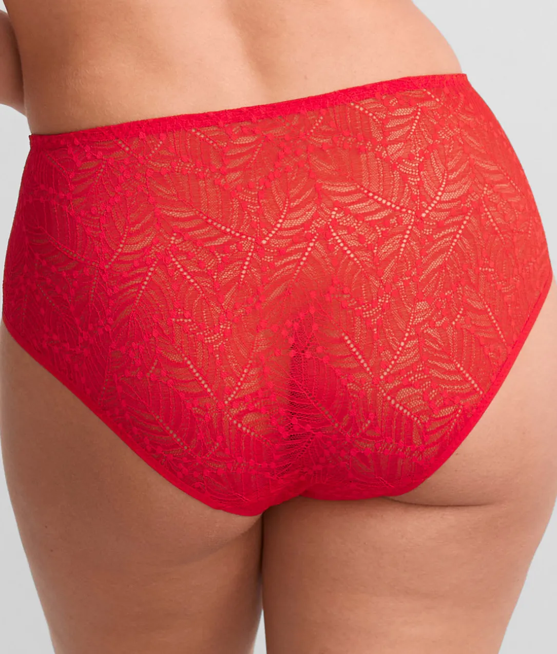 Comete Retro Brief