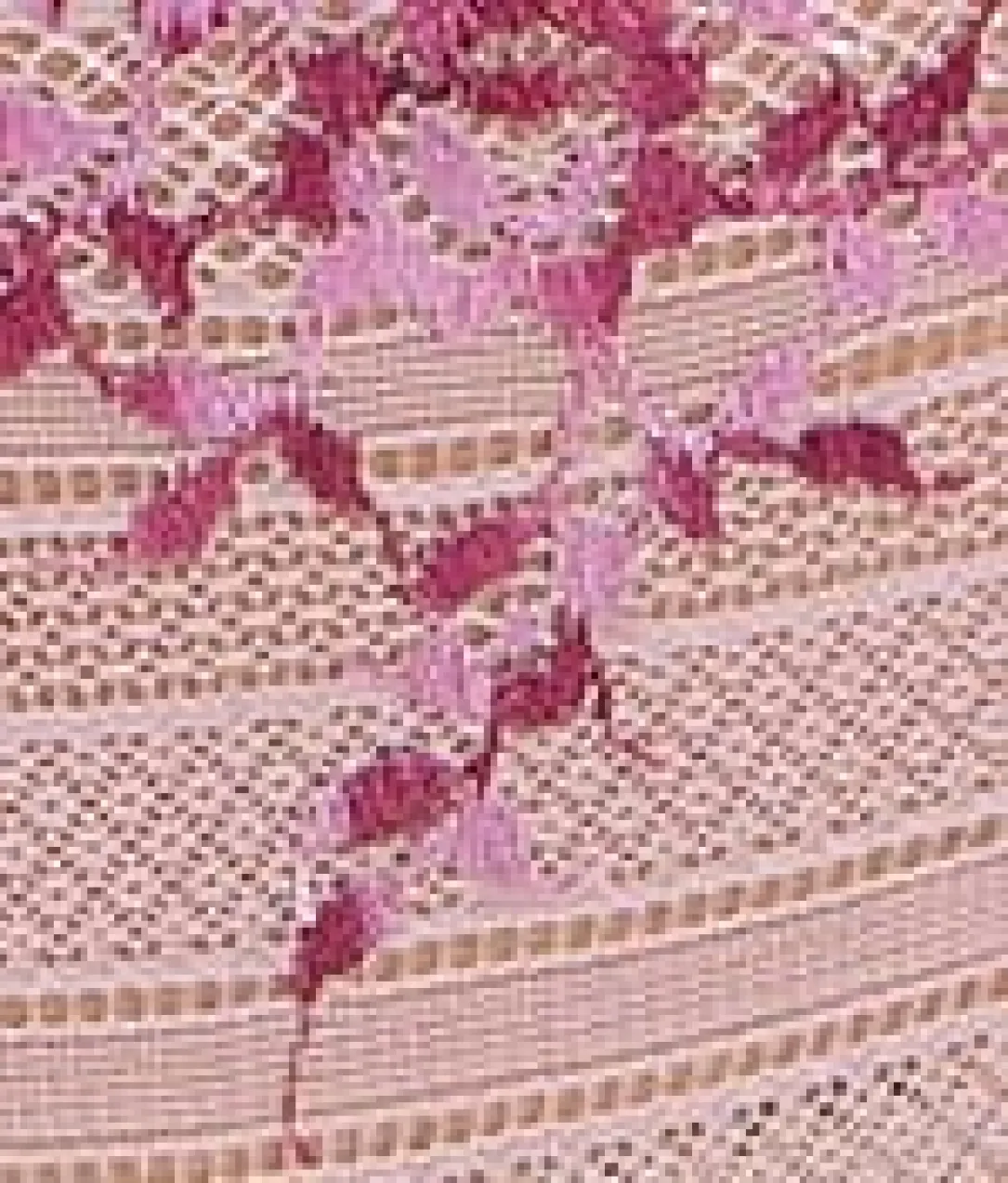 Embrace Lace T-Shirt Bra