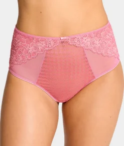 Envy Full Brief
