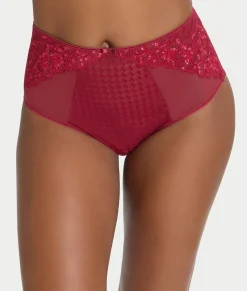 Envy Full Brief