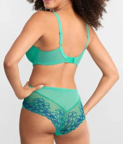 Envy Full Brief