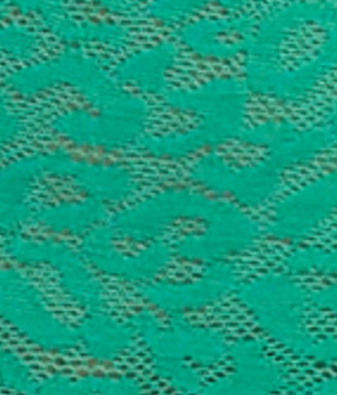 Envy Full Brief