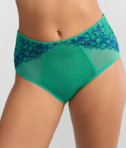 Envy Full Brief