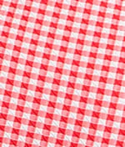 Gingham Paloma Underwire Balcony One-Piece Swimsuit