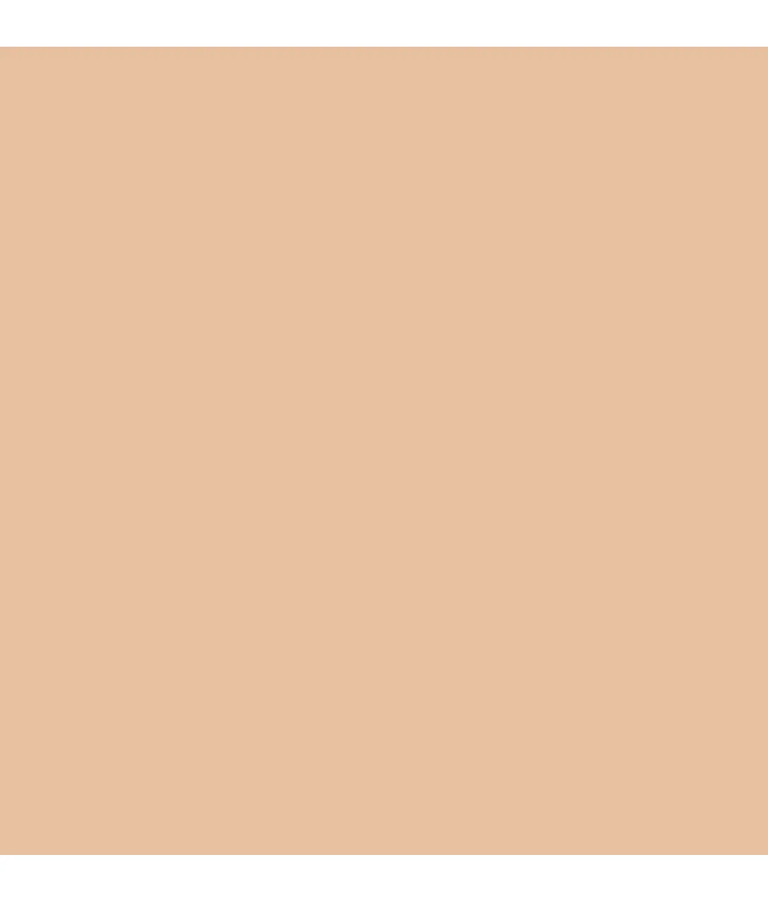 Jasmine Brief