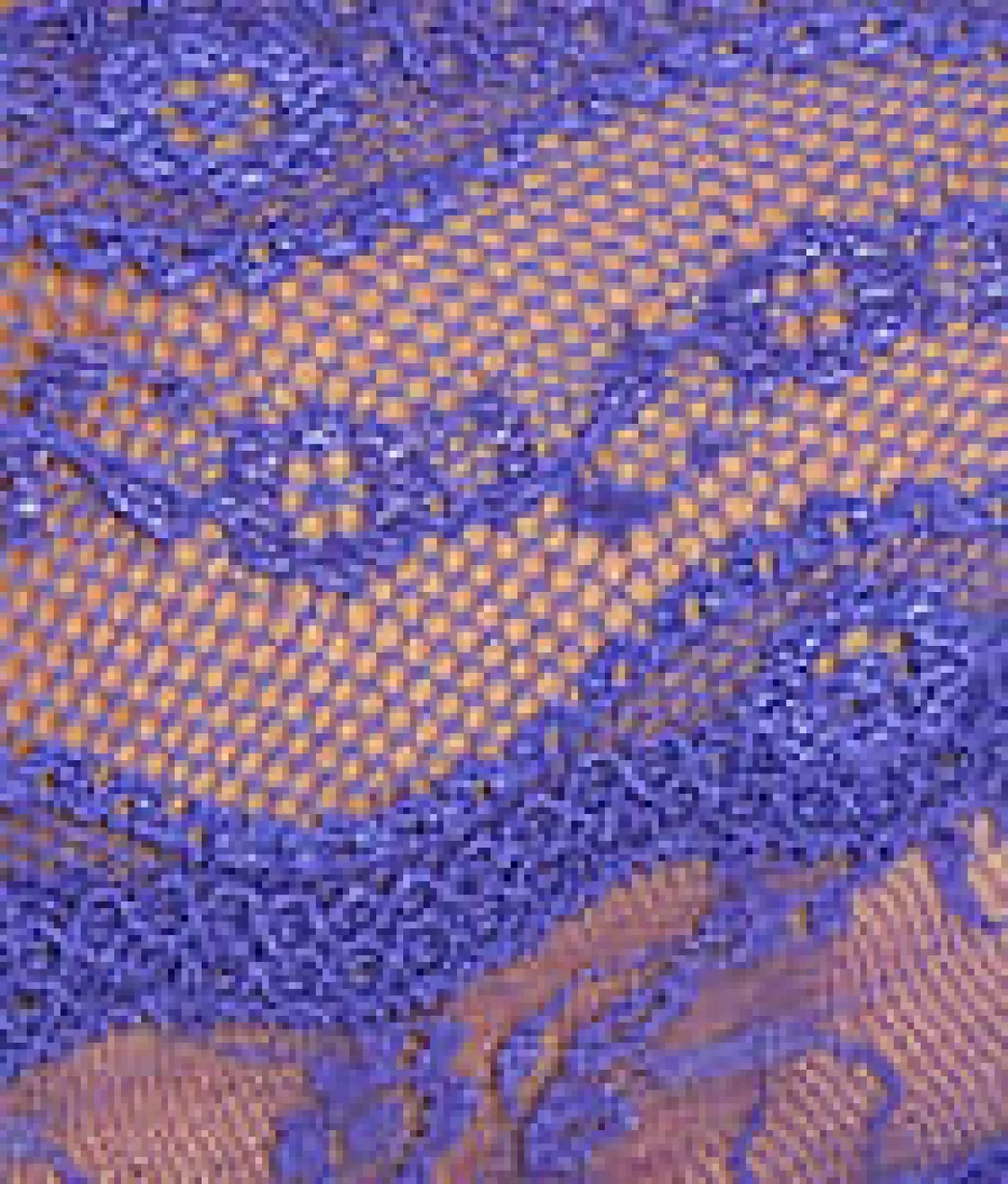 Lace Kiss Bralette