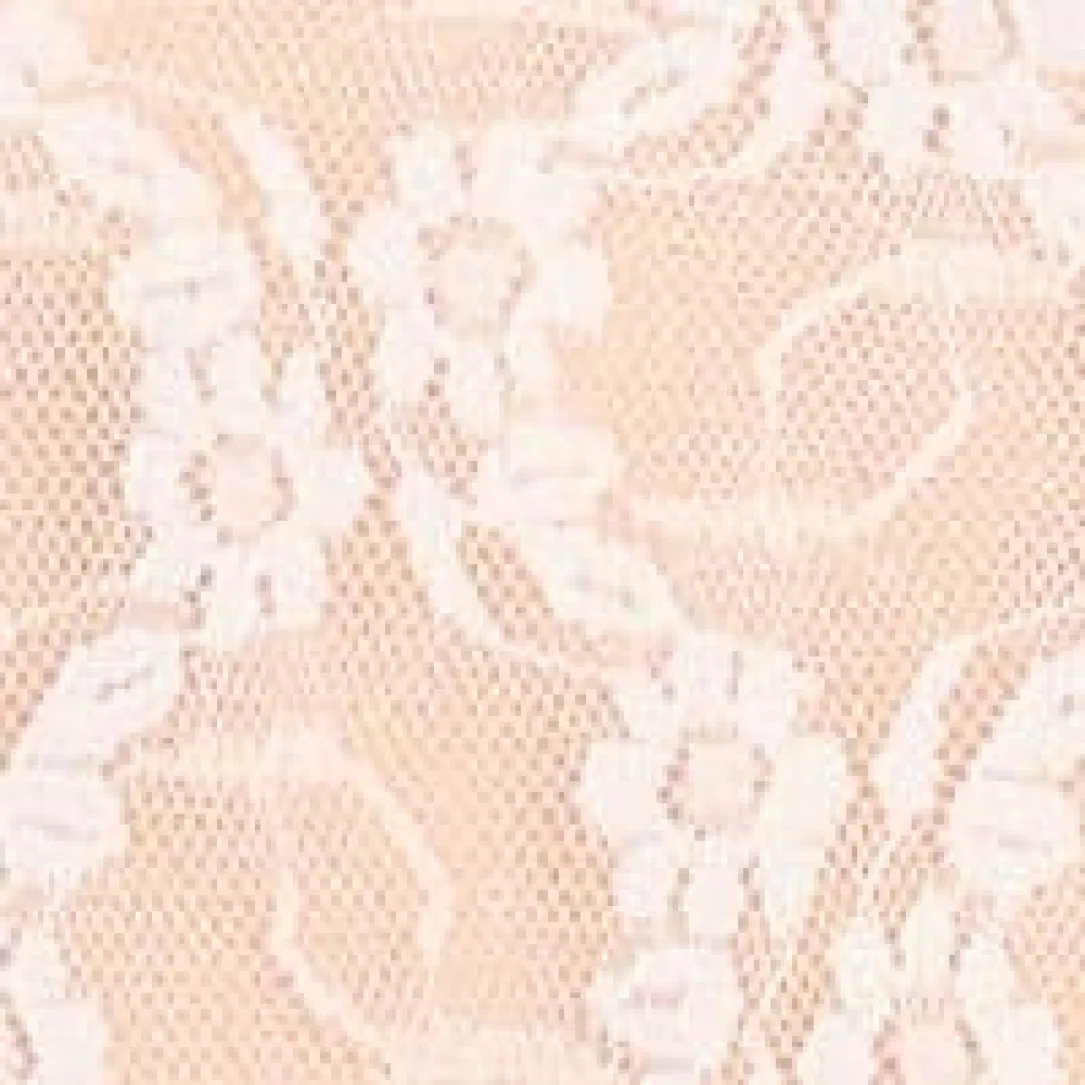 Lace Kiss Chemise