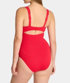 Lara Underwire Plunge One-Piece