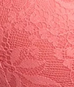 Lightly Lined Lace Plunge Bra