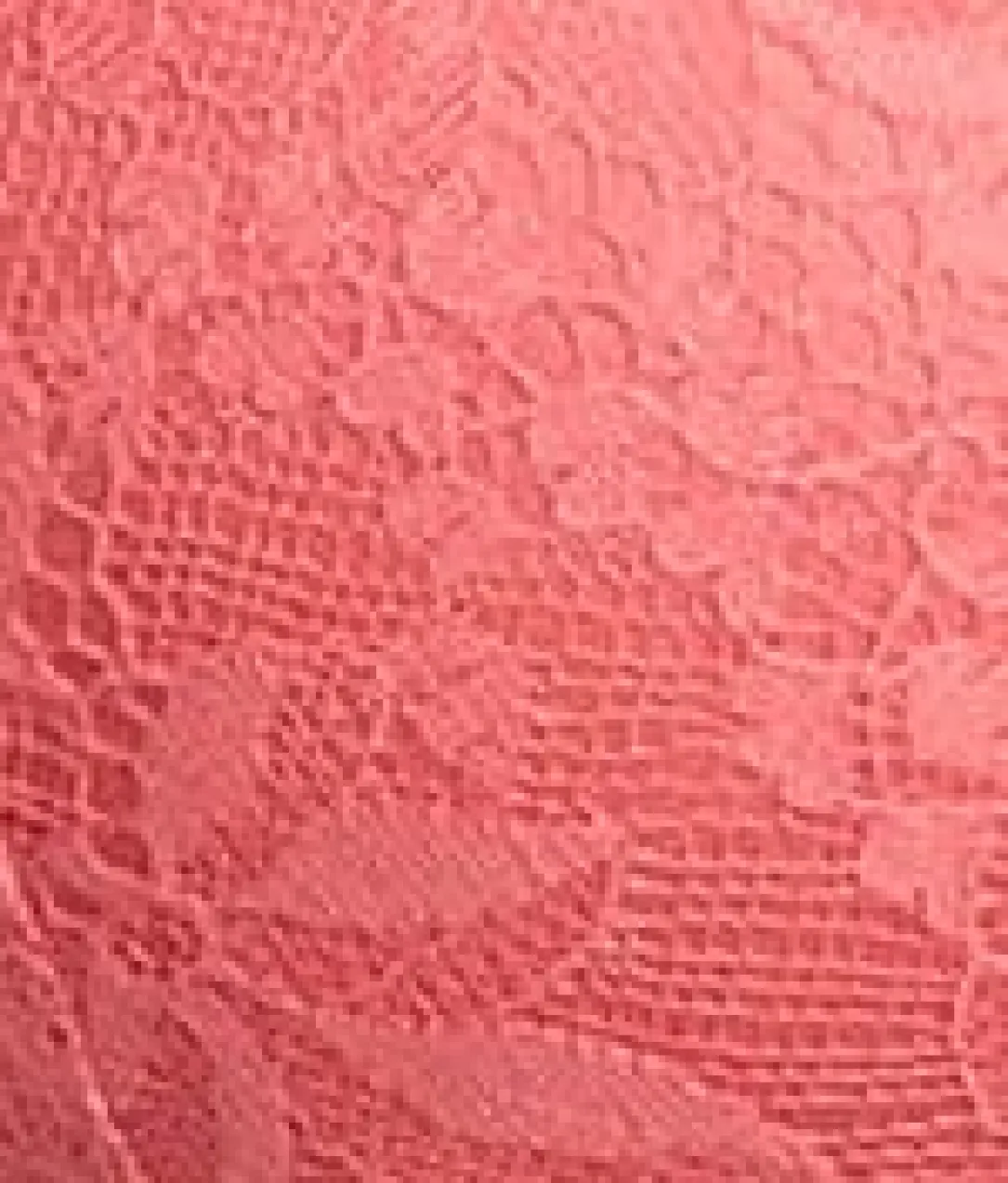 Lightly Lined Lace Plunge Bra