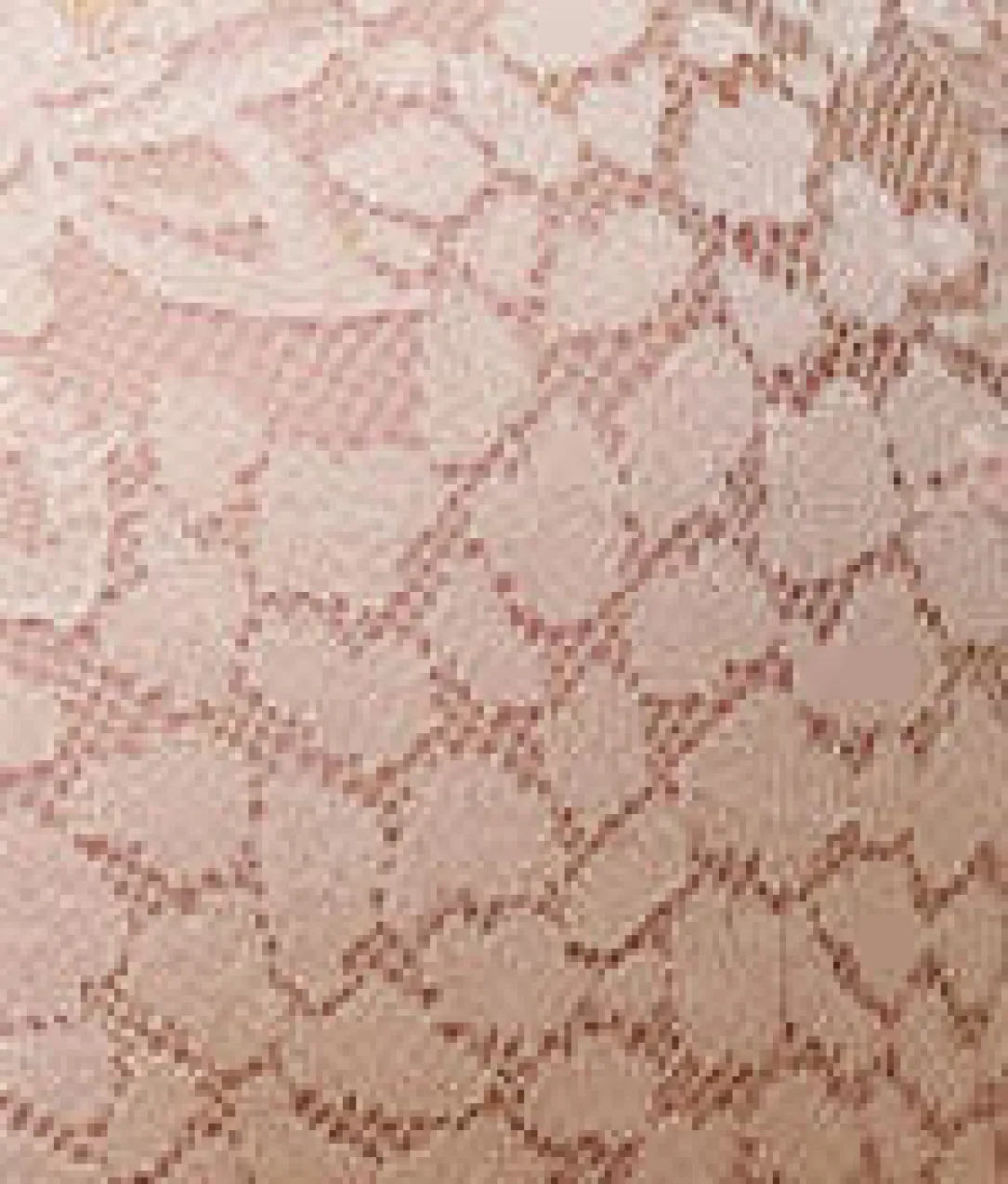 Maris Lace Full Cup Bra