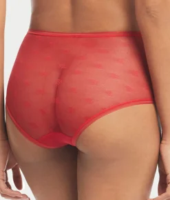 Monogram Sheer Modern Brief
