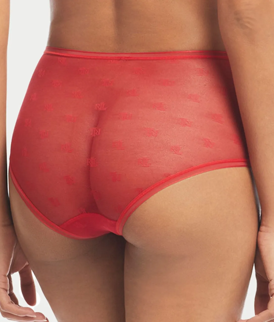 Monogram Sheer Modern Brief