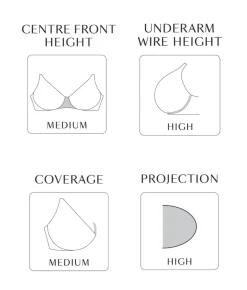 Muse Sheer Mesh Plunge Bra