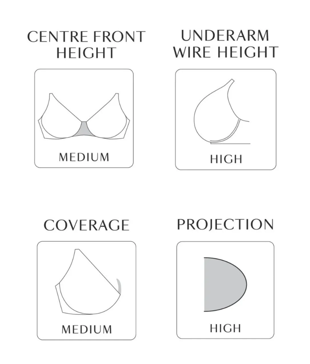 Muse Sheer Mesh Plunge Bra