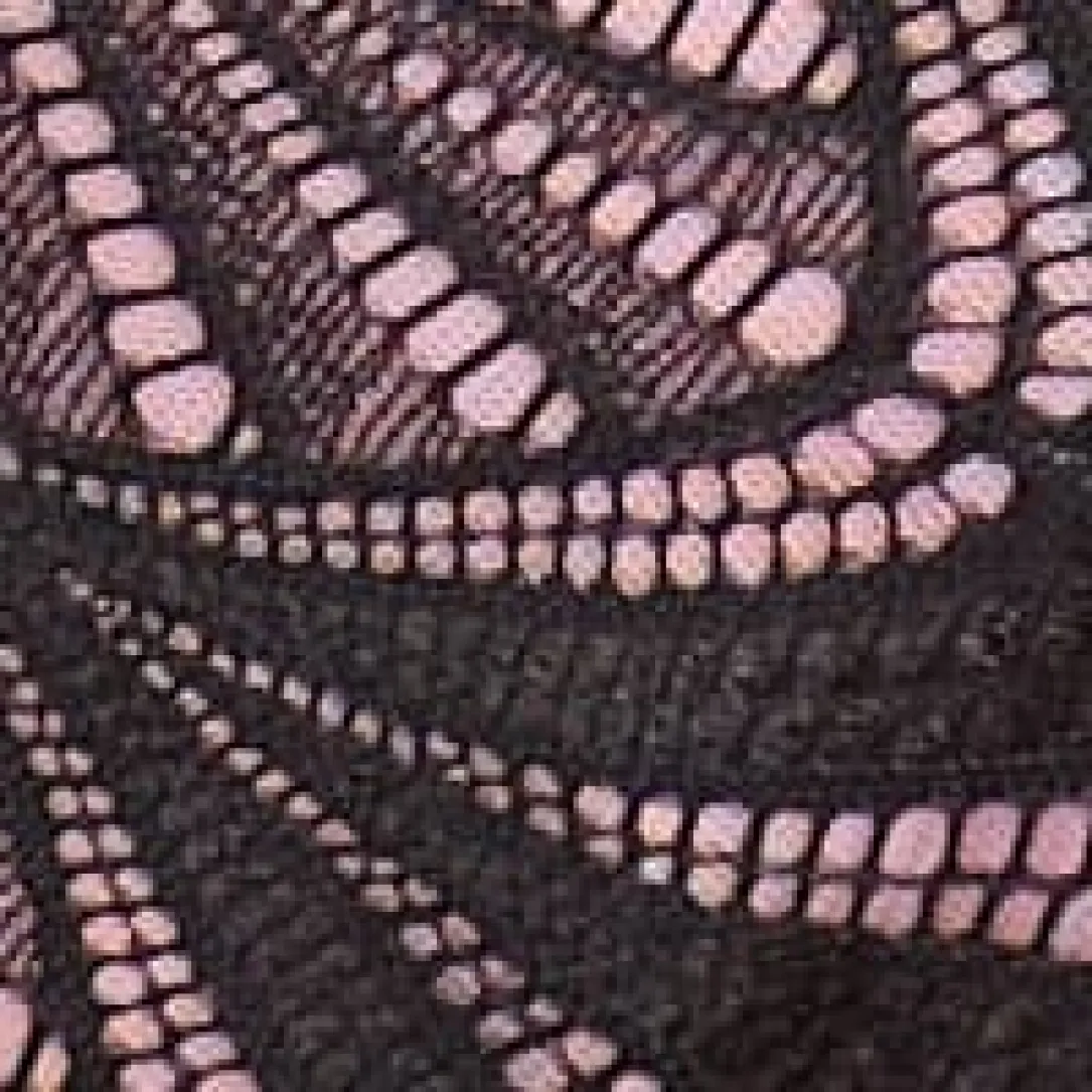 New Romance Garter Belt