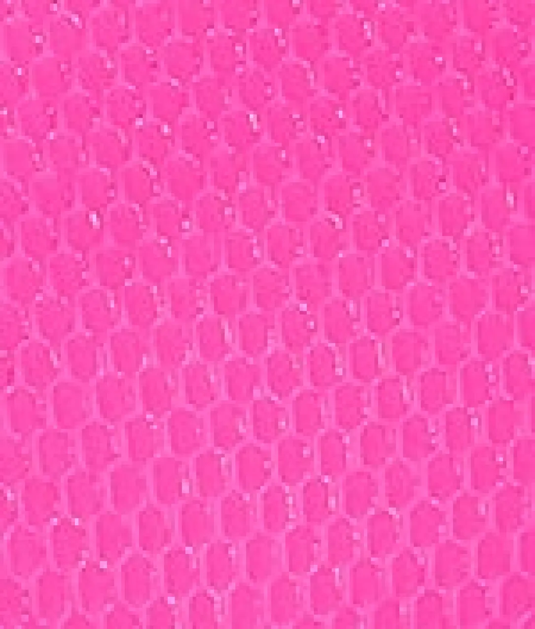 Pacifica Astrid High-Waist Bikini Bottom