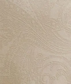 Paisley Seamless Brief