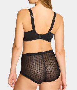 Plume Control Brief