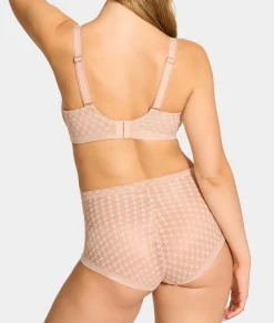 Plume Control Brief