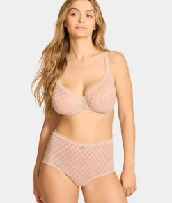 Plume Control Brief