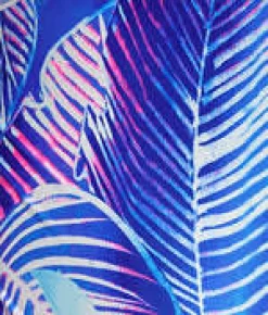 Plus Size Maluku Island Wire-Free One-Piece Swimsuit