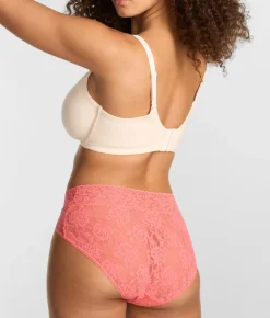 Signature Lace French Brief