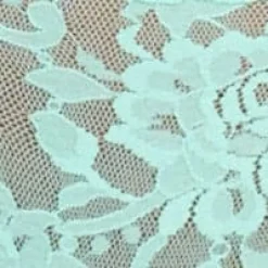 Signature Lace French Brief