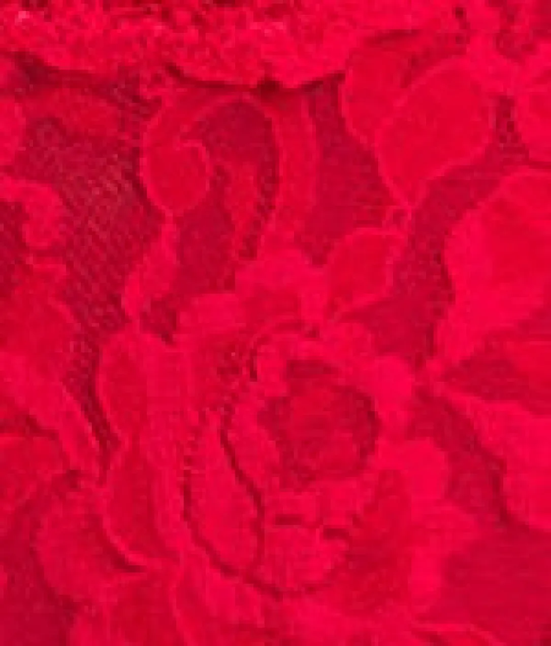 Signature Lace Original Rise Thong