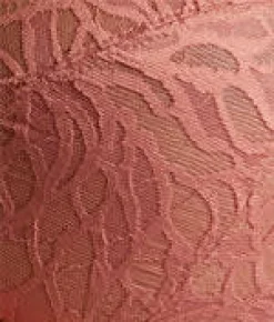Sophia Full Coverage Stretch Lace Bra