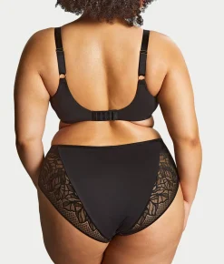 Sophia Lacey Full Brief