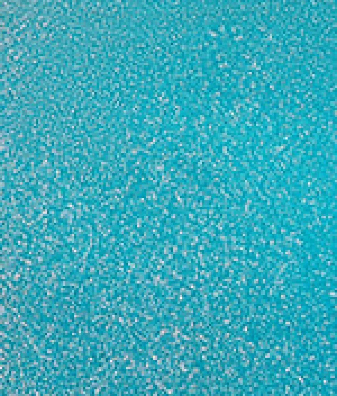 Sparkle High-Waist Bikini Bottom