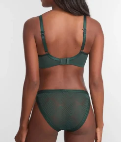 Tailored Brief