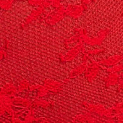 Tango Lace Deep Brief