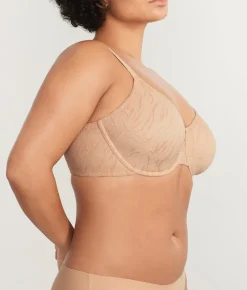 The Absolute Minimizer Bra
