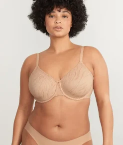 The Absolute Minimizer Bra