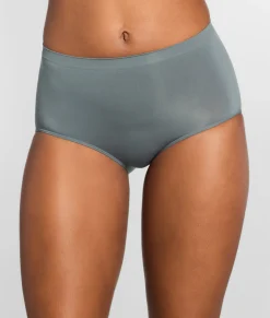The Easy Everyday Seamless Brief